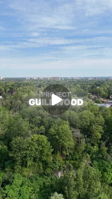 Aerial view over the trees at the Guildwood project site.